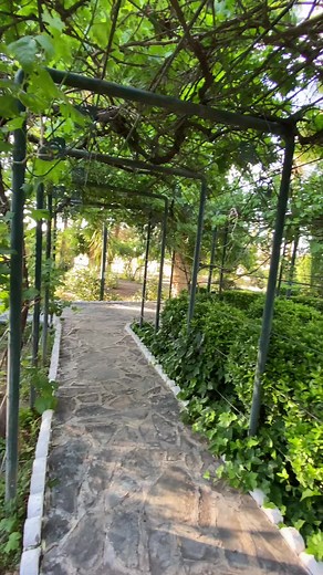 Welcome to the garden sanctuary of The Caid Hotel where elegance meets nature. Every corner is designed to delight your senses: from the gentle rustle of leaves to the refined landscaping that invites you to unwind in style. A perfect setting for reflection, conversation, or simply savoring the moment #TheCaidHotel #GardenLuxury #EldjazairHotels #RefinedEscape #TimelessElegance #HotelExperience