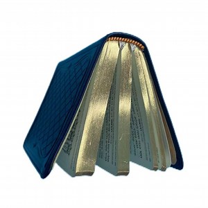 [Hot Item] Gold Print Bible Dictionaries Full Color Gold Rolling Book Printing Service, Gold Books, Gold Bible Book, Foil Books, Bible Book with Bookmarks, Foil Book Edges