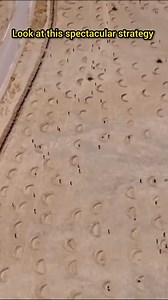 8.3M views · 220K reactions | How To Restore Desert Degraded Back Into Fertile Ecosystem & Trees #curiosities #africa #nature #facts | Leaf of Life | Facebook