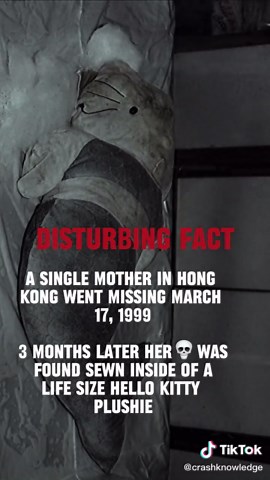 The Tragic Hello Kitty Murder Case of Fan Man-Yee