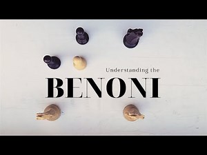 Plans and patterns in the Benoni Defense · Training Game