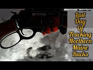 2023 Maine Deer Season - Last Day of Tracking