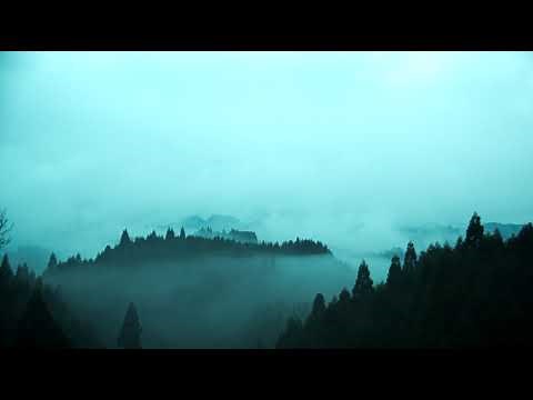 【ASMR風】1時間 自然音 落ち着く夜の森の音 1hour Nature Sounds of a night forest for Relaxing