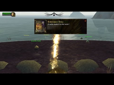 A Turtle Made It to The Water! Beachhead Tortollan World Quest - WoW Battle For Azeroth