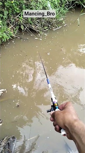 Pescando peces pequeños en el río después de la lluvia