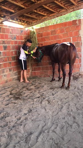 Neto_Silva00 no TikTok