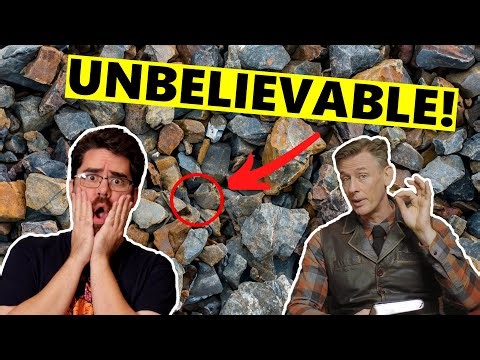 This ONE TRICK will fool EVOLUTIONISTS!