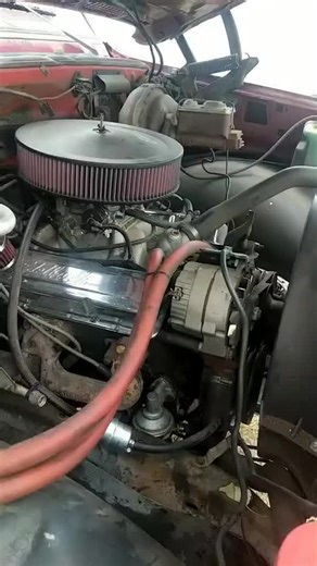 Explore a Unique Old Truck Collection