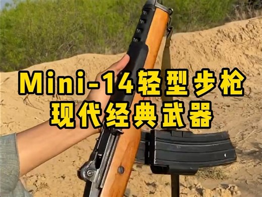 Mini-14轻型步枪，性能爆表的武器