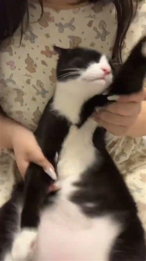 Hei Zi Mom: Stop Shaking Your Head! Even Overtime Work Isn't Worth It