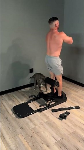 Meet the Glue Blaster Ultimate Hip Thrust Machine, an all-in-one powerhouse that blends fitness and