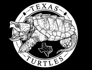 Smooth soft shell | TEXAS TURTLES
