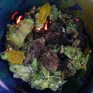 Cool Kids shatter, Hurkel sugar on top of Lemon Merengue flower, with a few Tropicanna calyxes in the center 🍁 📸 loud_n_errl_ | Pot Smoking