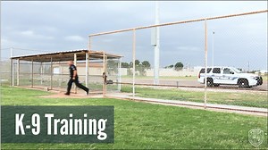 7.5K views · 174 reactions | Ever wonder what the training for MPD's K-9 unit looks like? Here's a peek into just one day of drills, and yes the K-9s schooling includes throwing the ball at the park! #BehindTheBadge | Midland Police Department | Facebook