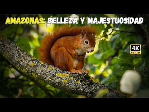 La Grandiosa AMAZONIA: Animales HERMOSOS Y Majestuosos | DOCUMENTAL Episodio1