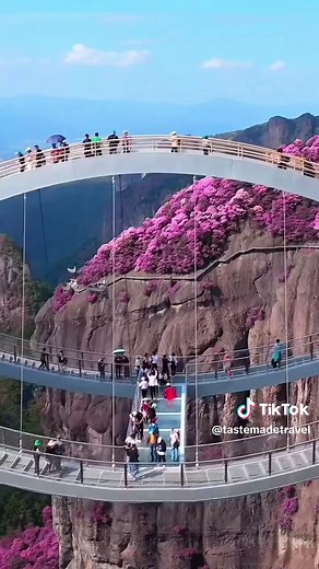 Ruyi Bridge: A Stunning Pedestrian Bridge in Zhejiang China