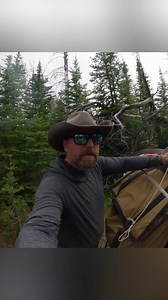 Would YOU Try This With a Horse?! #trailriding #horseriding #horsebackadventure #cowboycamping #trailobstacle #outdooradventure #wildernesslife #backcountry #explorepage #trinityvandenacre #viraltoday #trendingnow #familyadventures #horselovers #countrylife | Life in the West