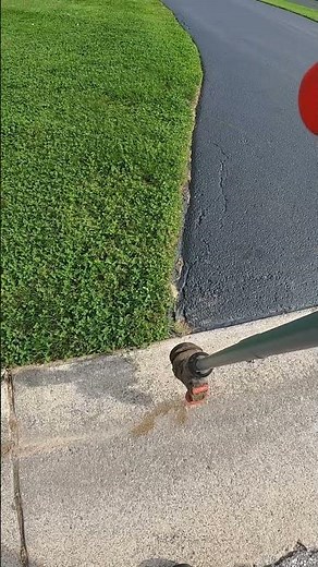Craftsman v20 edger