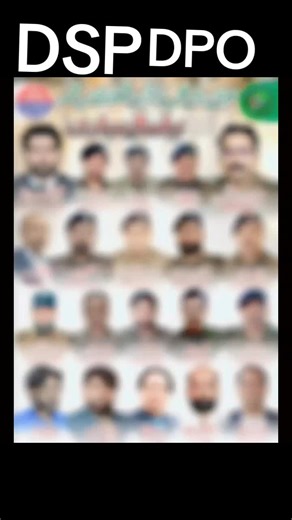 Understanding DSP and DPO Concepts