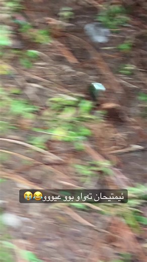 Exam Results Celebration with Laughter