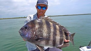 295K views · 2.2K reactions | In this episode I head out in South Jersey with legendary guide Dan Schafer of Insomniac Guide Service LLC to chase something I'd never associate with New Jersey: trophy sheepshead. Watch as Dan coaches me through a really challenging pattern until I finally get a shot at one of these bridge bruisers. Who else likes fishing for sheepshead? How do you catch 'em where you live? | Field Trips with Robert Field | Facebook