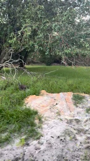 Susan Sullivan OSteen on Reels