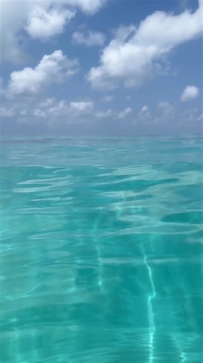 Rustys and I went swimming at Mauri reef off russell heads today to cool off , slow days fishing but got a feed of trout , had to cool off | Fatbouy Fishing