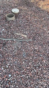 2.6K views · 86 reactions | The  year synchronicities keep on coming. | Starseed Astrology | Facebook