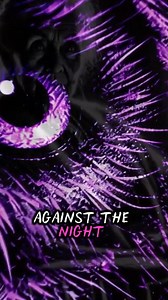 12K views · 314 reactions | Full story linked on my page #lechuza #mexicanfolklore #owl #witch #bruja #stories #scarystory #spooky #ghosttoast #ghosttoastfiction | GhostToast | Facebook