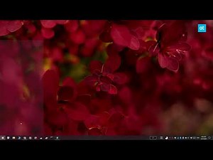 How to remove a WiFi network on Windows 10