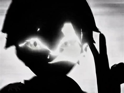 Miraculous Ladybug and Cat Noir Fan Edit