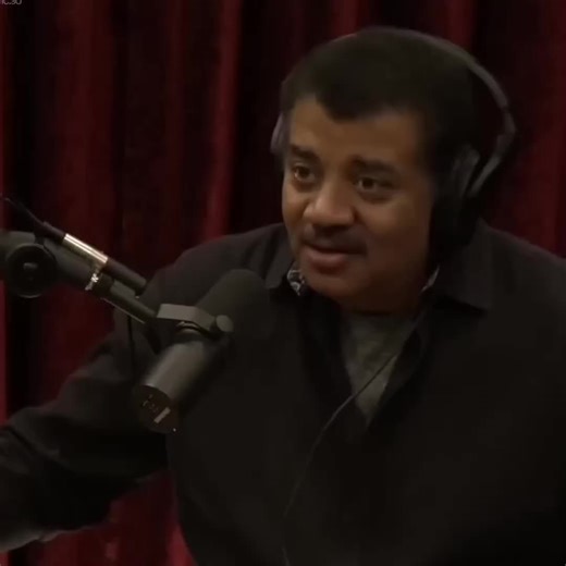 parasite. #documentary #parasite #fyp | Parasite Stairs Scene