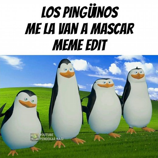 Los Pingüinos Me La Van A Mascar Meme Edit (Kawazaki, Cago, Krico, Estriper) #penguin