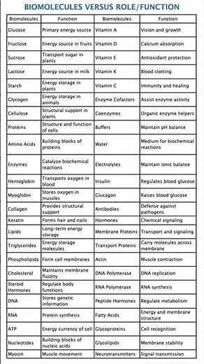 Biomolecules & Their Functions 🔥 Full Revision (JEE NEET GATE) Vitamins Carbohydrates, Proteins, DNA