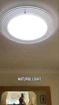 Revolutionary Sunlight Bulb: Bringing Natural Sunlight Indoors! 🌞💡