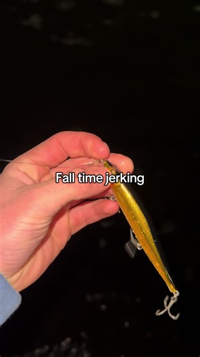 Fall Walleye Fishing Tips and Techniques