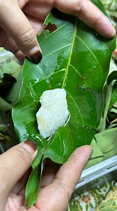 286K views · 5.9K reactions | Tapir  Bahan-bahan Beras pulut 1kg Ragi 1 biji Selamat hari raya 來來來 | Supermokti | Facebook