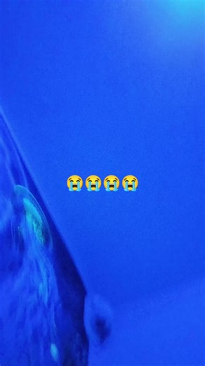 Jayso_yakk (@jayso_yakk)’s videos with original sound - Jayso_yakk