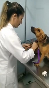 Feel free to give me a 👍 bottom right❤ | Touching fates