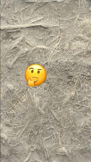 I can’t believe these Jurassic Coast Surprises⁉️#fossil#jurassic#lymeregis