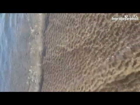 your calming space for relaxation, DIY diffuser blends, and aromatherapy inspiration 🌿🌊