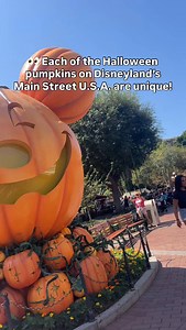 It's so fun to spend some time exploring all of the unique pumpkin designs!