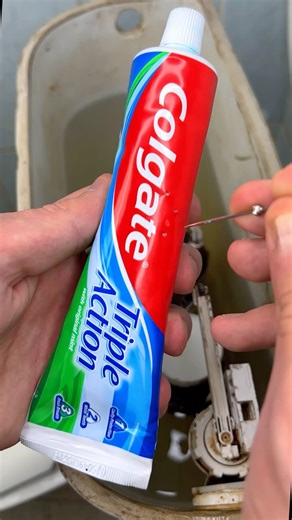 Put the toothpaste in the toilet and you will be surprised!