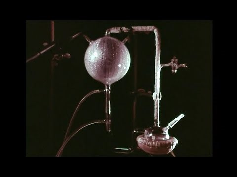 The Origin of Life - Biochemical Evolution - 1971