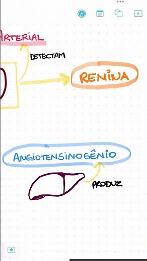 Mapa mental de SISTEMA RENINA-ANGIOTENSINA-ALDOSTERONA em menos de 1 minuto 🤩