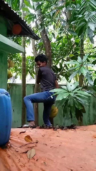 Exploring Tropical Fruits in a Rustic Outdoor Setting