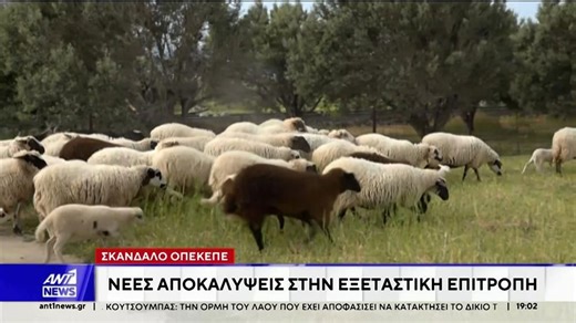 ΟΠΕΚΕΠΕ: Αίσθηση προκαλεί η κατάθεση της Διευθύντριας Αγροτικής Ανάπτυξης