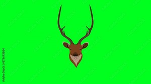 Red Deer laughing animation seamless loop 4K with Transparent background alpha and green screen for keying. Stag head laughing emoji animation