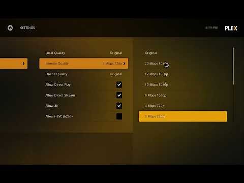 plex playback error