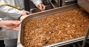 Insectes, protéines végétales, viande artificielle : vers une alimentation de plus en plus végétarienne en France ?